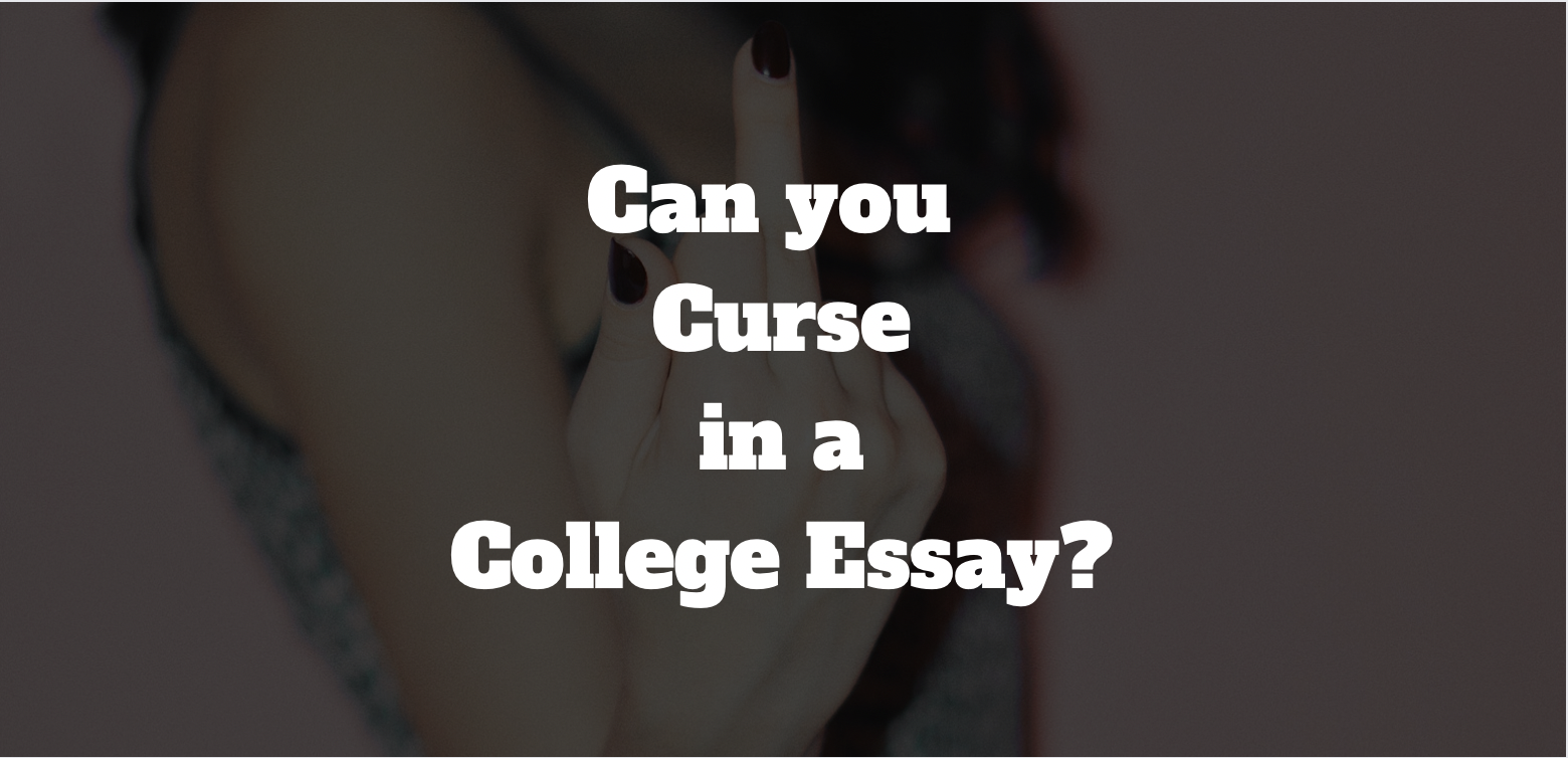 curse words in essay