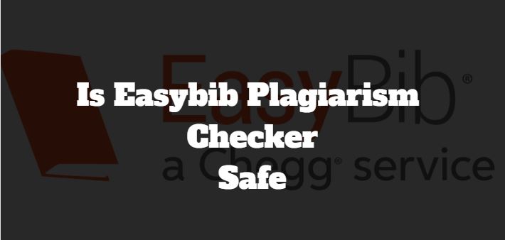 safe to use essaybib plag checker
