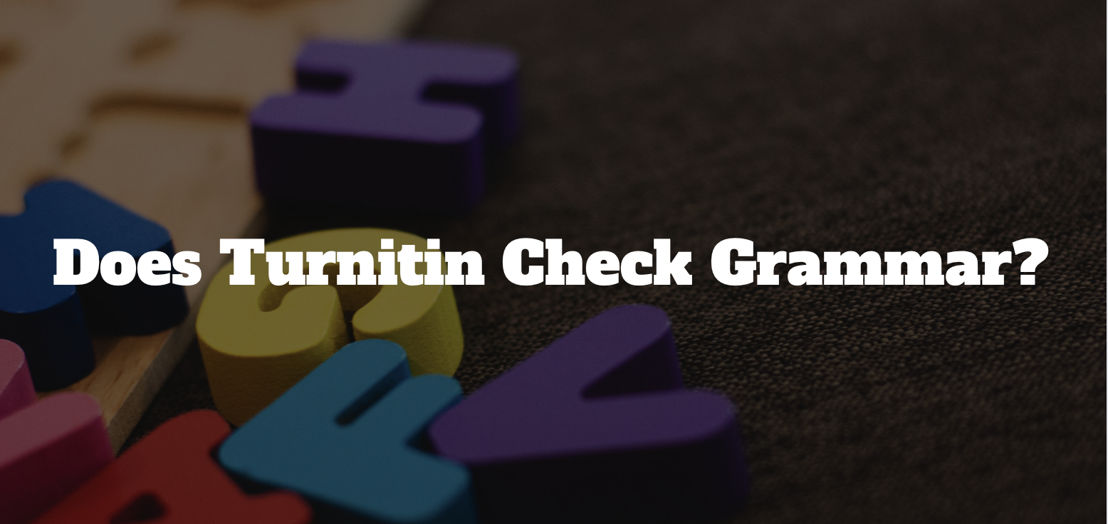 turnitin grammar check