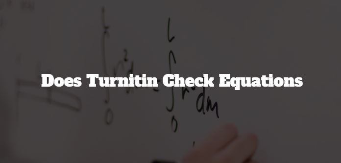 turnitin check math equation
