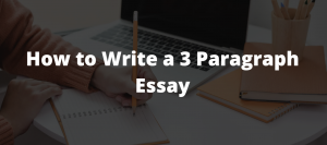 3 paragraph essay ideas